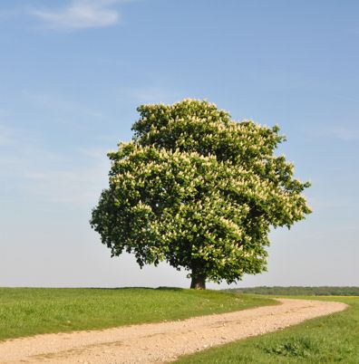 Landschaft Produktfotografie Studio Grafik Design Produktgestaltung Werbung Druck Corporate Design